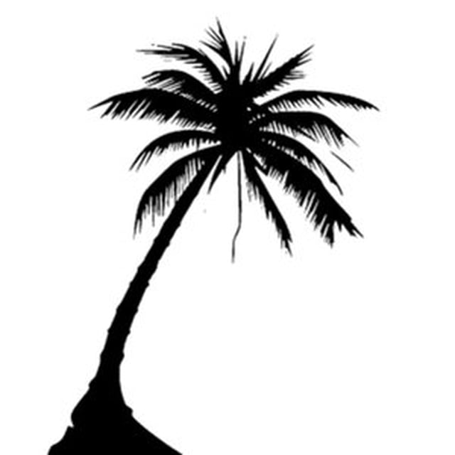 Palm Tree Designs - ClipArt Best
