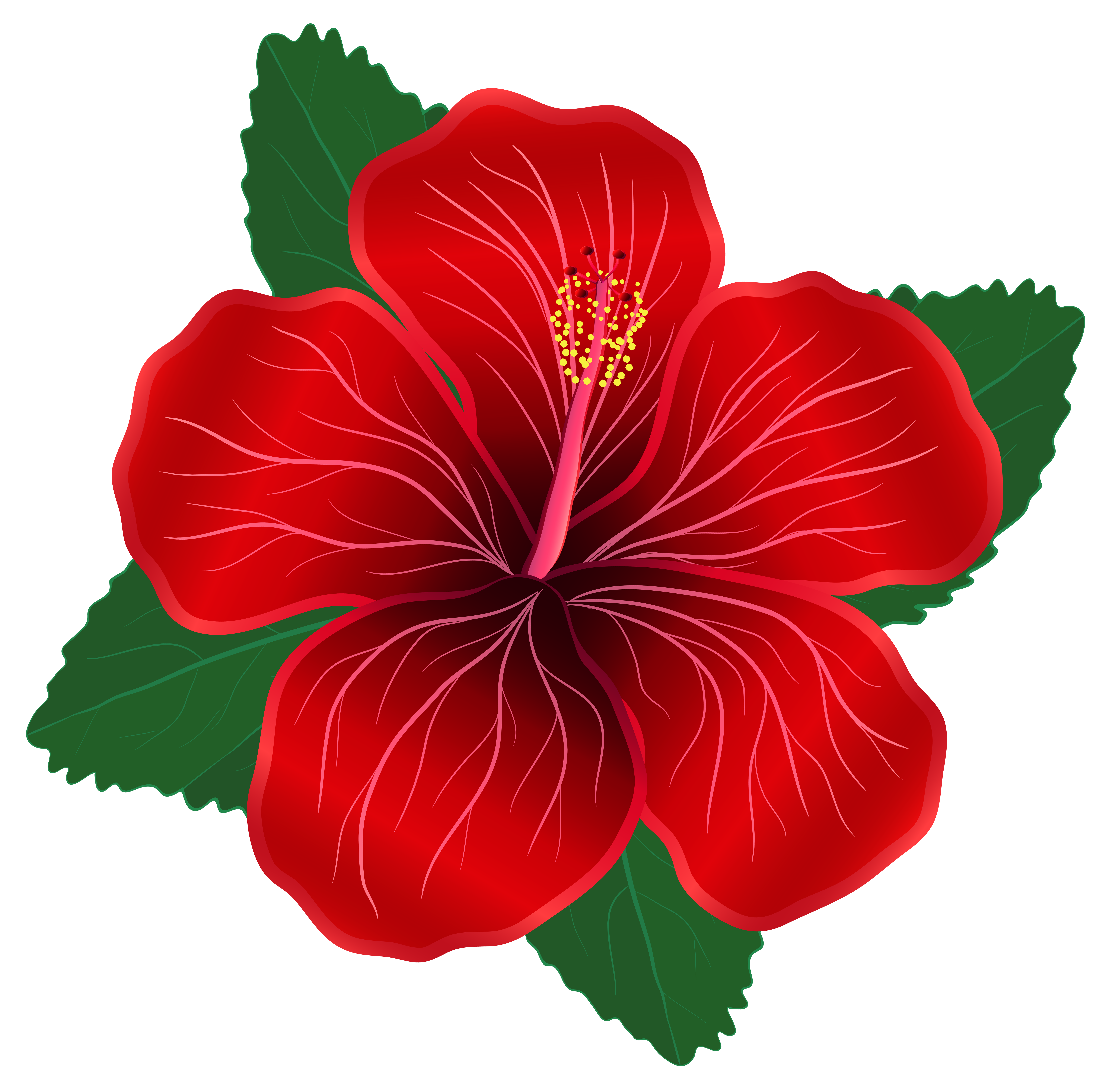 Flower Red Clipart Clipart Best | Images and Photos finder