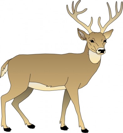 Deer 5 Vector clip art - Free vector for free download