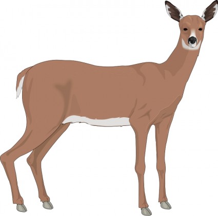 Free vector deer illustration Free vector for free download (about ...