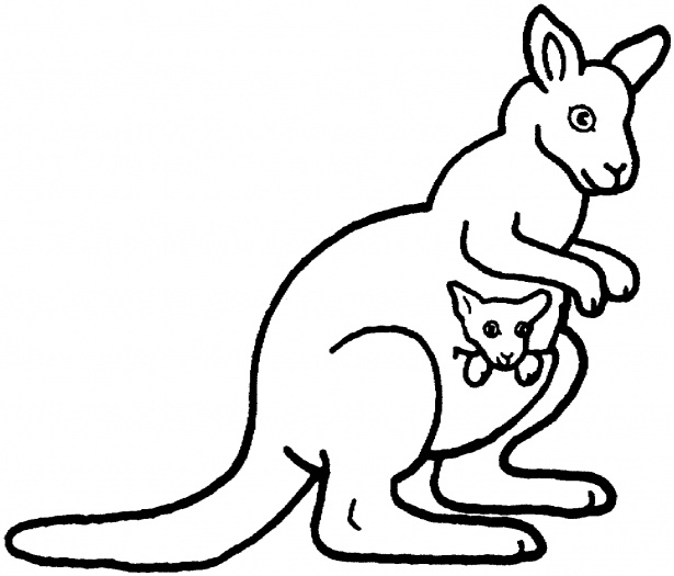 Best Photos of Jumping Kangaroo Drawing Outline - Kangaroo Drawing ...