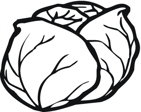 Lettuce clipart clipart 4 image #36024