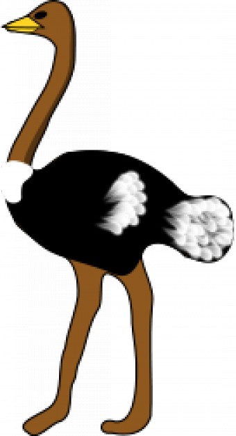 Ostrich Vector | Free Download