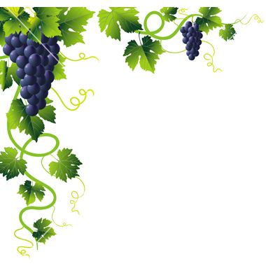 1000+ images about SS-Grape | Vines, Quilling and ...