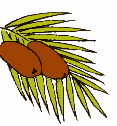 Dates Fruit Clipart