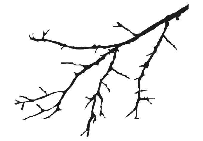 Branches For Coloring - ClipArt Best