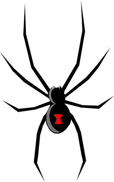 Black widow clipart exclusive