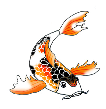 Koi fish clipart