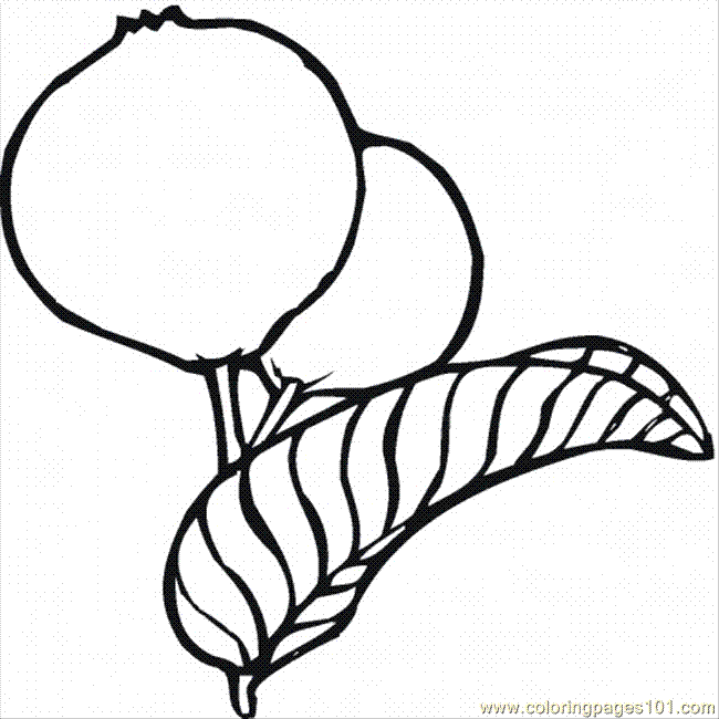 Guava Clipart