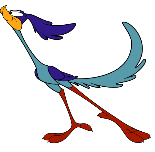 Roadrunner clip art hostted