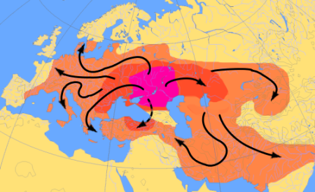 Human migration