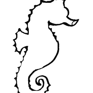 This Seahorse is in Love Coloring Page: This Seahorse is in Love ...