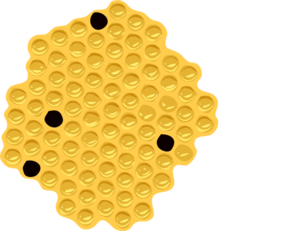 honey-comb-md.png