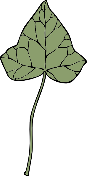 Ivy Leaf clip art - vector clip art online, royalty free & public ...