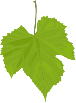 Grape Leaf Clipart Royalty Free Public Domain Clipart
