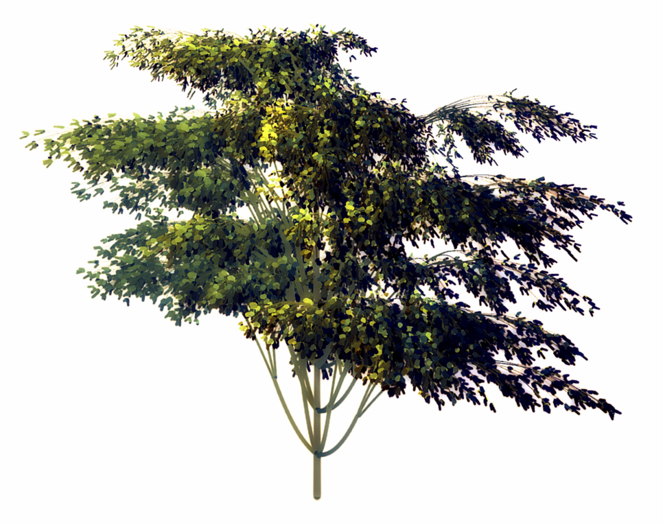 Basic Tree using foliage system