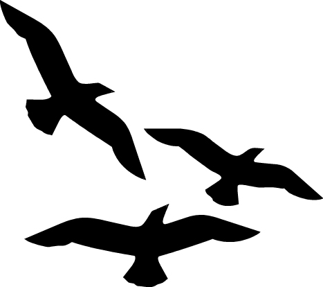 Flying Bird Outline - animals-pics.com
