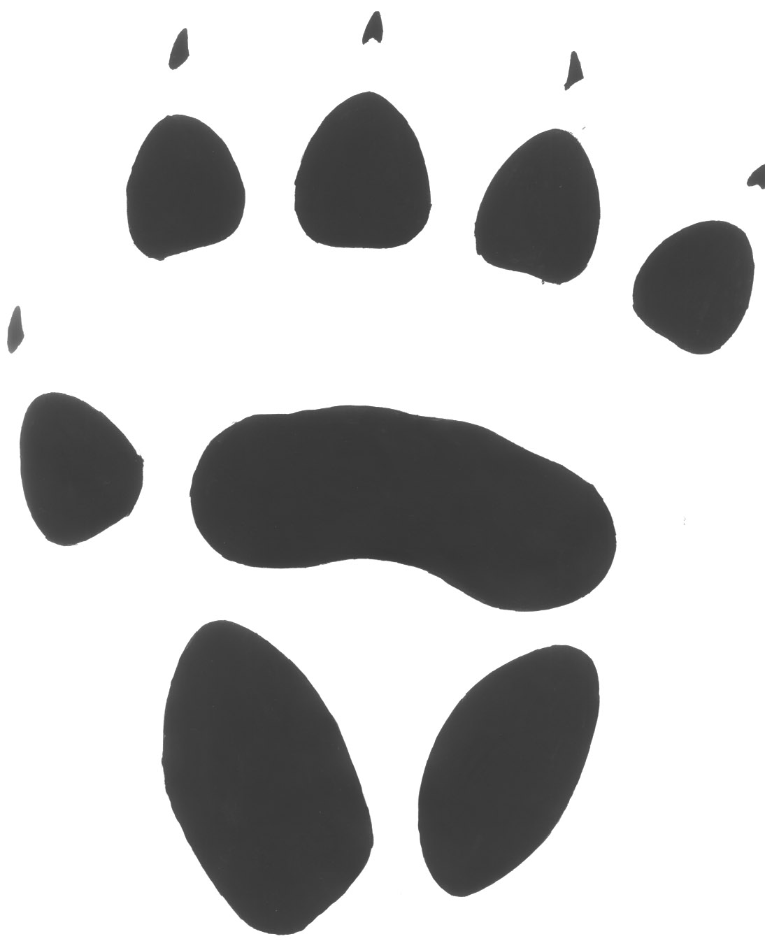 Pix For > Werewolf Paw Print