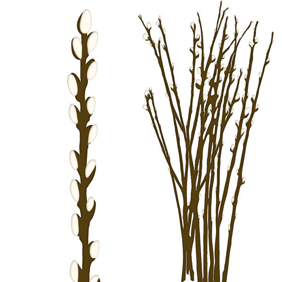 PussyWillow ClipArt Willow Tree Branch Wreath by FishScraps