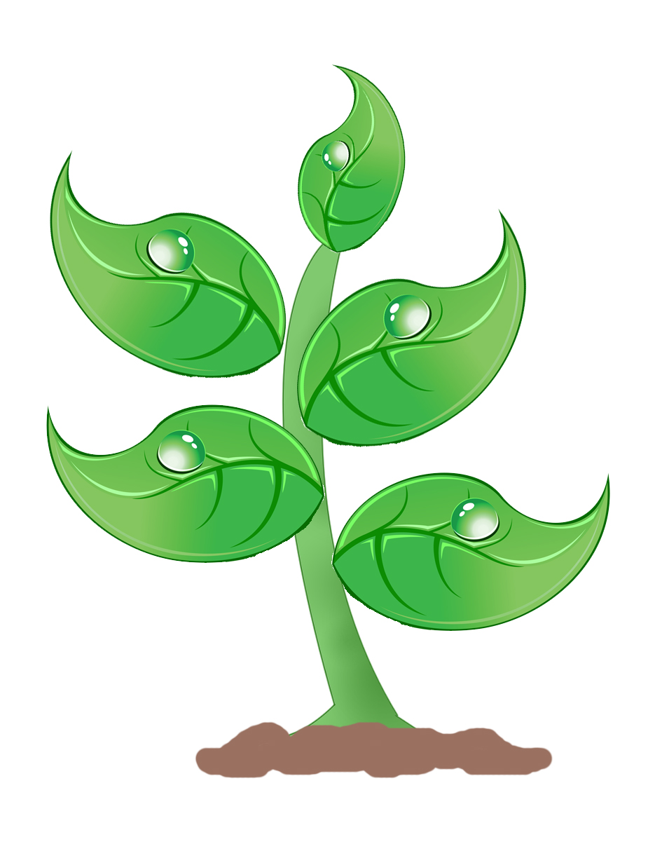 Free Plant Clipart