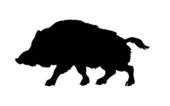 Boar 20clip 20art - Free Clipart Images