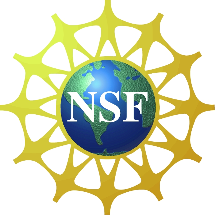 File:NSF Logo.jpg