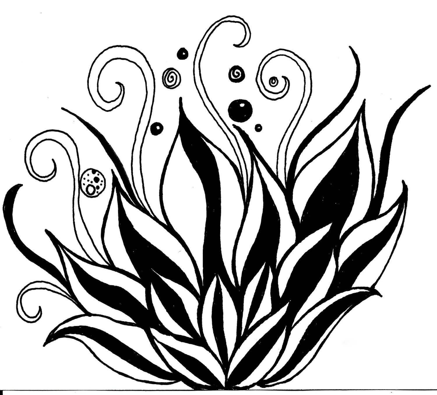 Black Background With White Flower Drawings Stock Photos Images ...