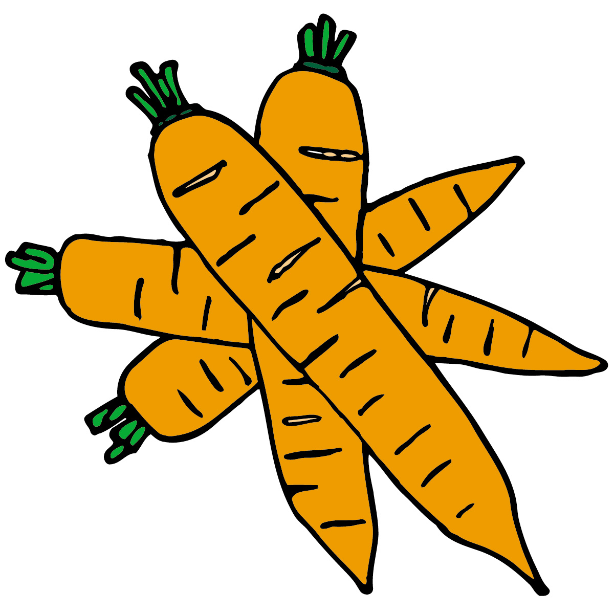 Carrot Clipart