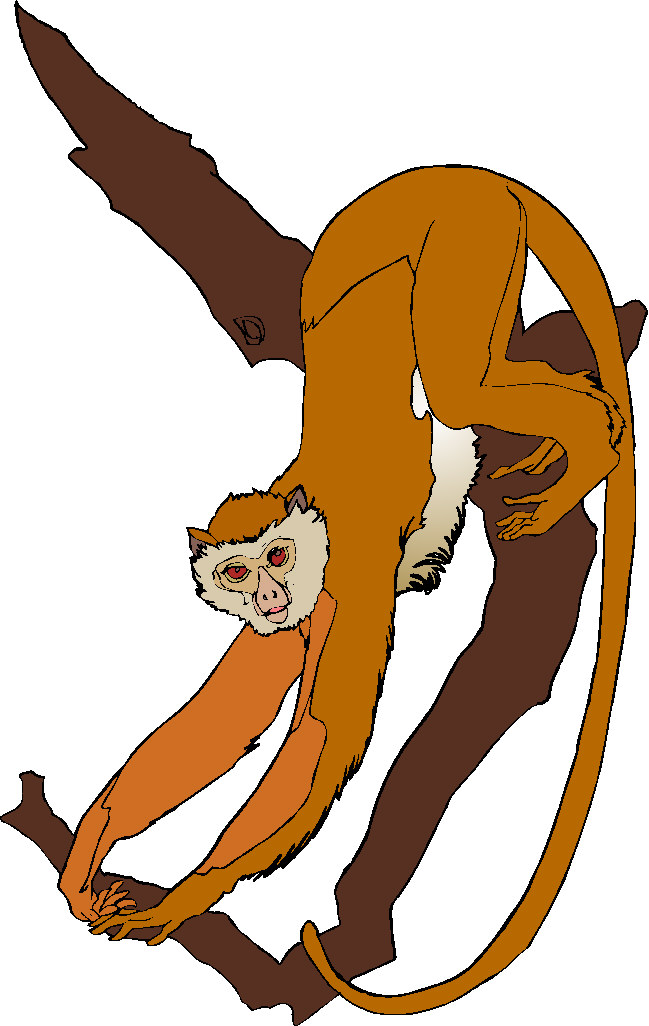 Monkey Clipart Black And White - Free Clipart Images