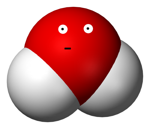 My Life as a Water Molecule - Ourboox