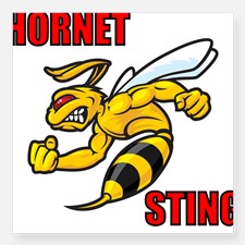 Hornet Bumper Stickers | Car Stickers, Decals, & More
