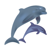 Dolphin Vector - Download 53 Vectors (Page 1)