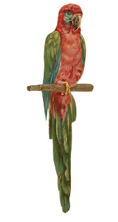 Antique Images: Free Bird Graphic: Vintage Macaw Parrot Clip Art