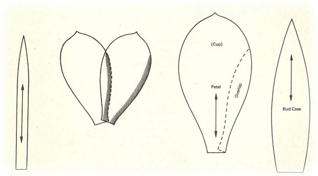 Flower petal templates