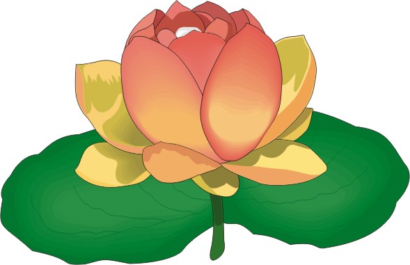 Cartoon Lily Flower | Free Download Clip Art | Free Clip Art | on ...