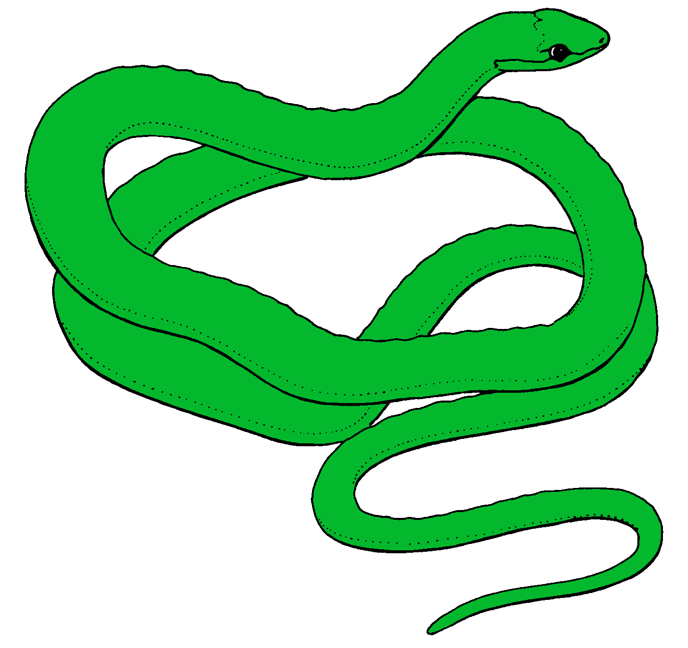 long snake clip art Gallery