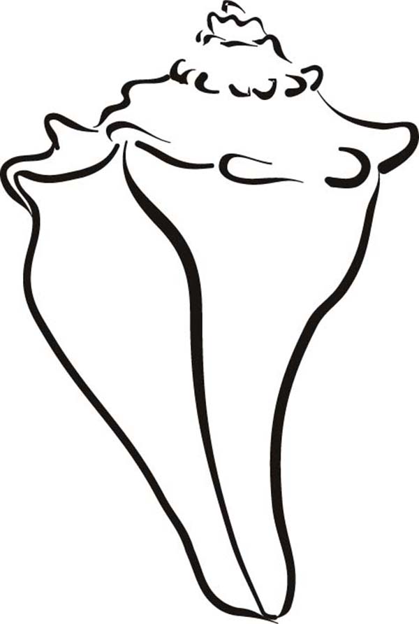 Conch Shell Outline | Free Download Clip Art | Free Clip Art | on ...
