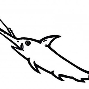 Very Strong Fish Swordfish Coloring Page | Color Luna