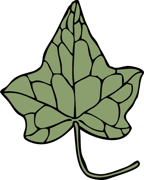 Oak Ivy Leaf clip art - vector clip art online, royalty free ...