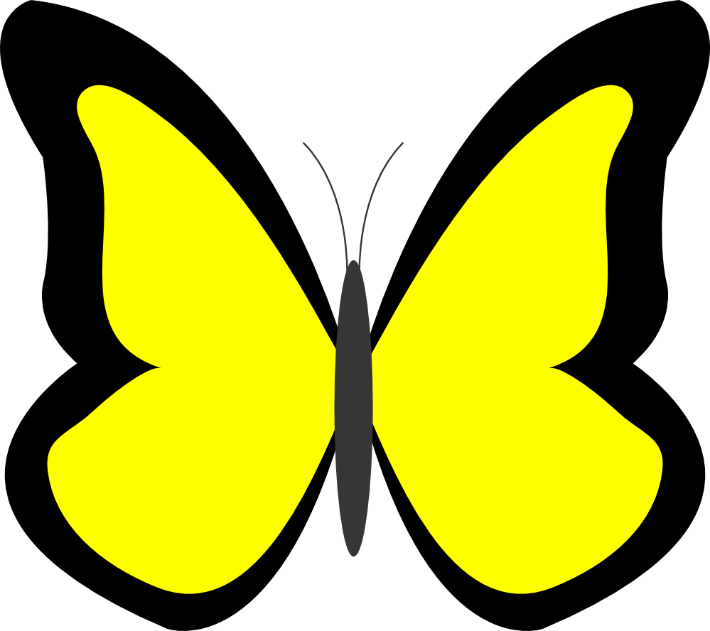 Butterfly 26 Color Colour Yellow 1 Peace xochi.info ...