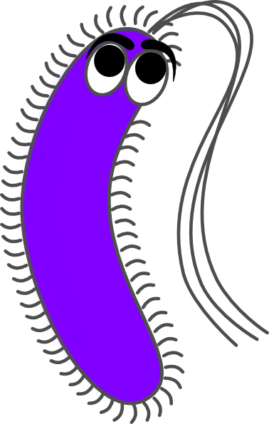 Bacteria Clipart | Free Download Clip Art | Free Clip Art | on ...