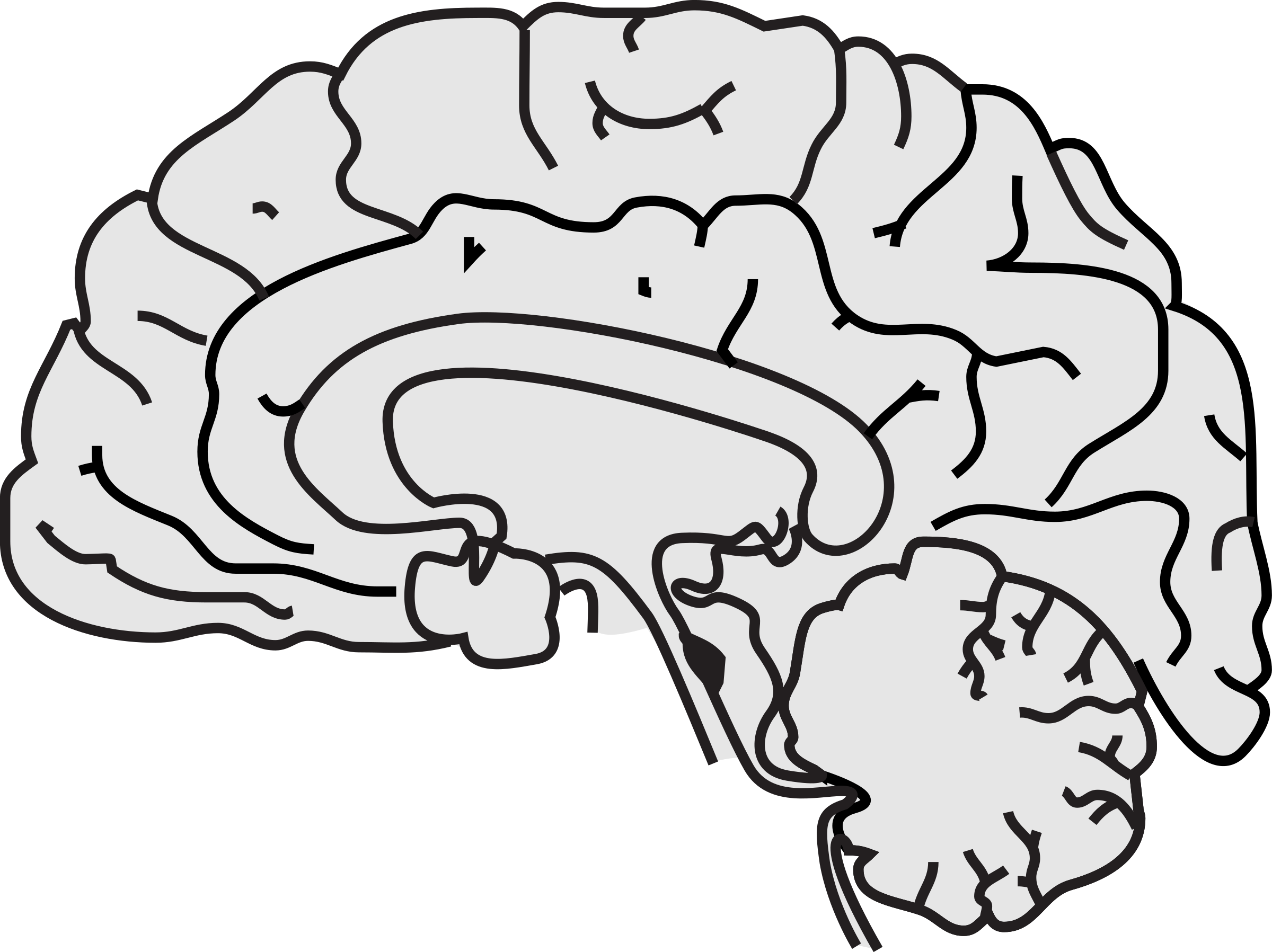 Brain Clipart Simple