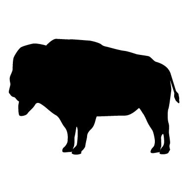 Buffalo outline clipart