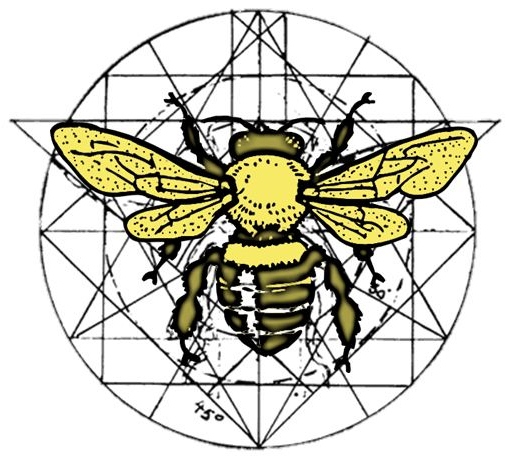 Bee P3 - ClipArt Best