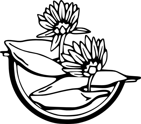 Water Lily clip art Free vector in Open office drawing svg ( .svg ...