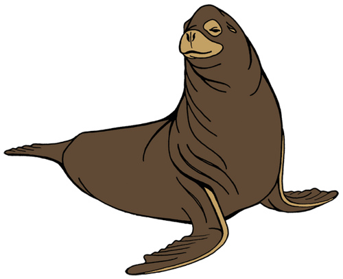 How To Draw A Sea Lion Easily - ClipArt Best