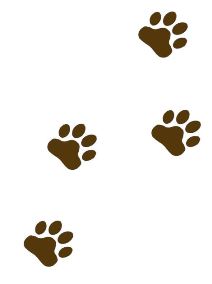 Best Photos of Brown Bear Paw Prints - Brown Bear Paw Prints Clip ...