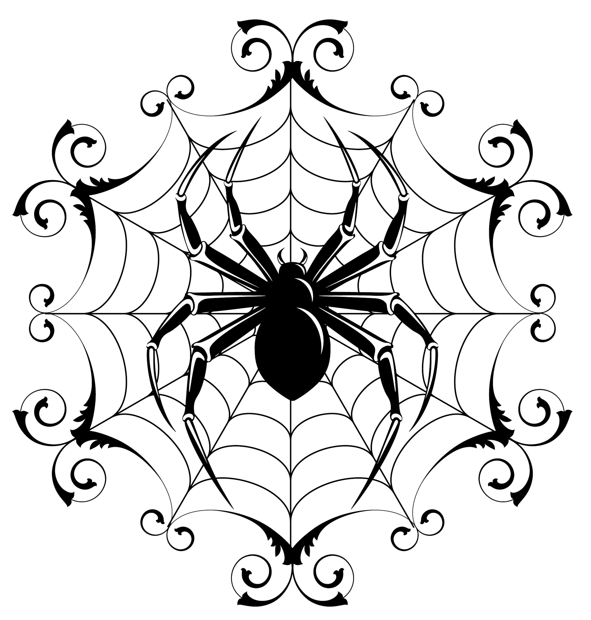 Spider Drawing Clipart - Free to use Clip Art Resource