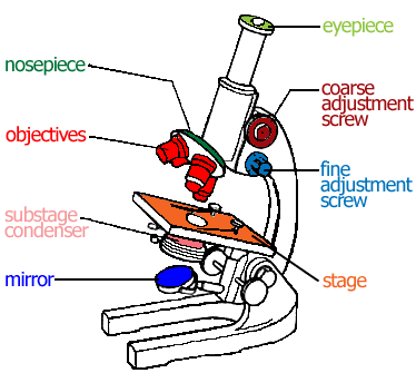 Microscope Lens Diagram - Free Clipart Images