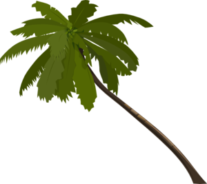 Clipart palm tree free - ClipartFox